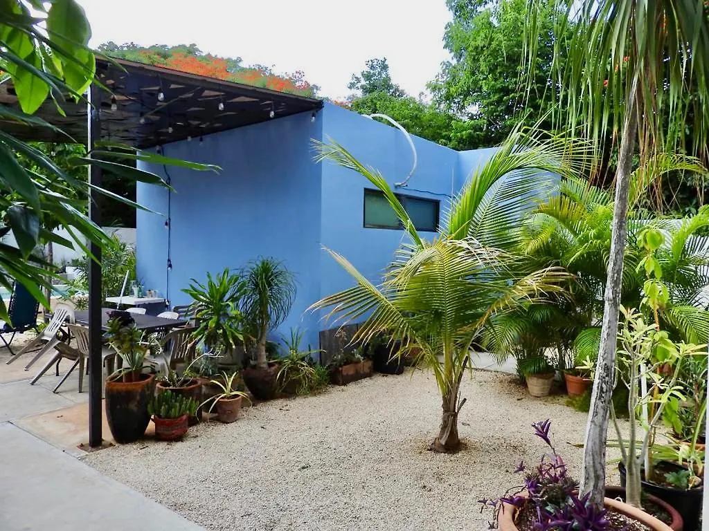 Estudio En “Casa Livia” Con Piscina Y Jardin. Merida 0*,  Mexico