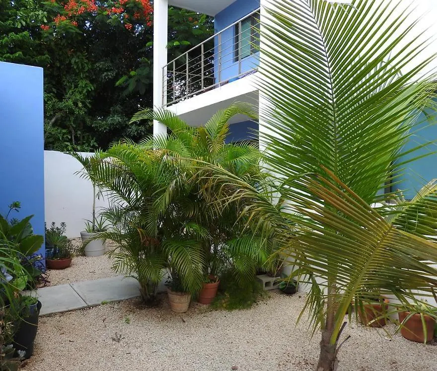 Estudio En “Casa Livia” Con Piscina Y Jardin. Merida