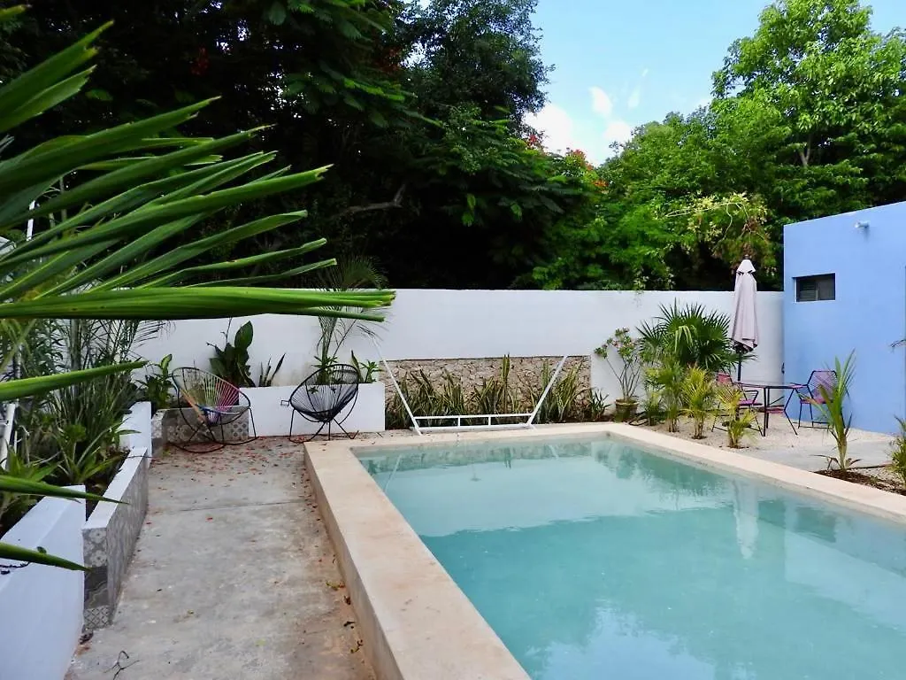 Estudio En “Casa Livia” Con Piscina Y Jardin. Merida