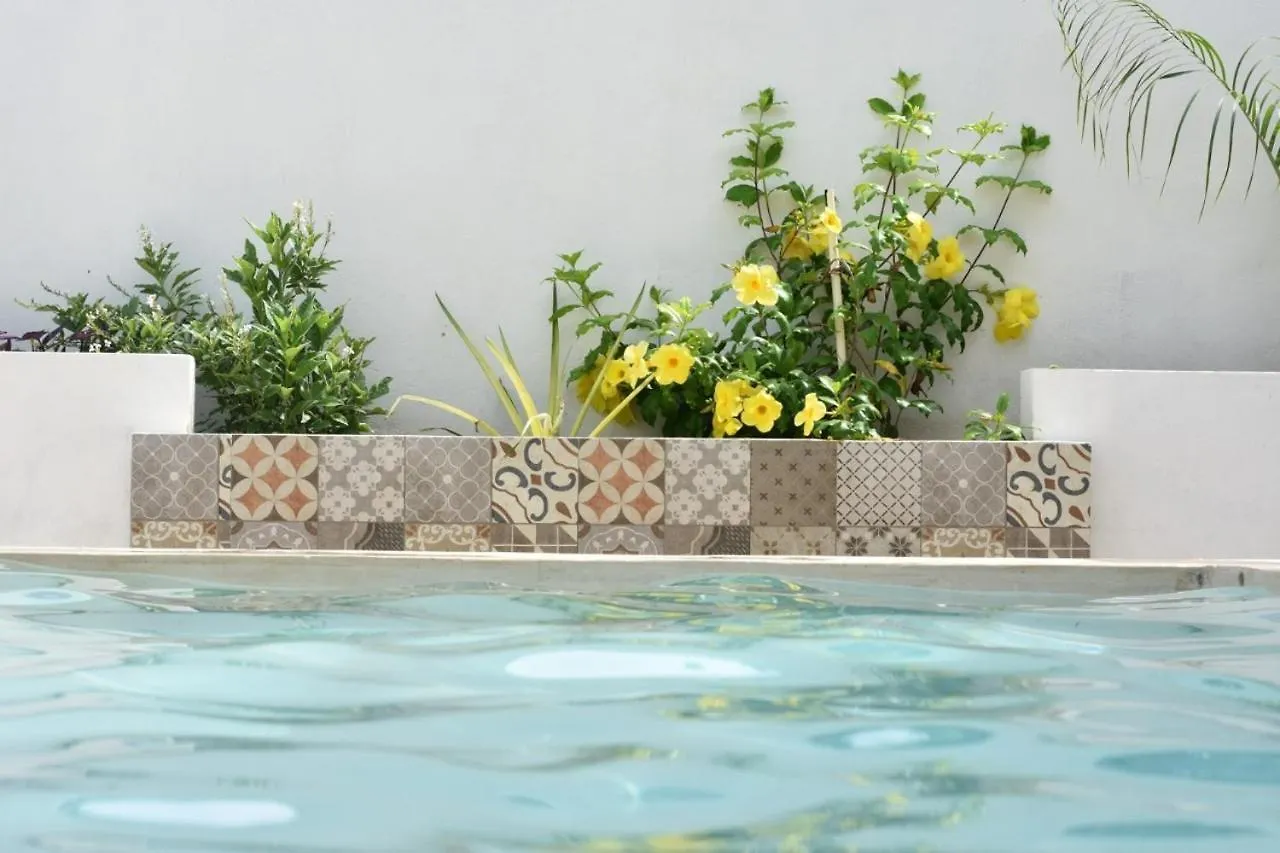 Estudio En “Casa Livia” Con Piscina Y Jardin. Merida Apartment