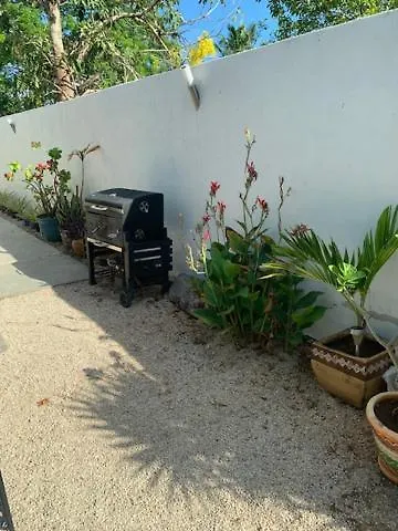 Estudio En “Casa Livia” Con Piscina Y Jardin. Merida