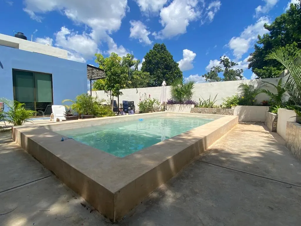 Estudio En “Casa Livia” Con Piscina Y Jardin. Merida 0*,