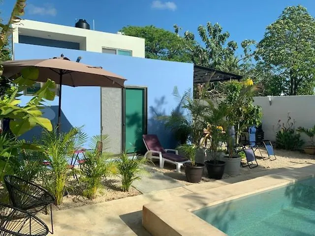 Estudio En “Casa Livia” Con Piscina Y Jardin. Merida Mexico