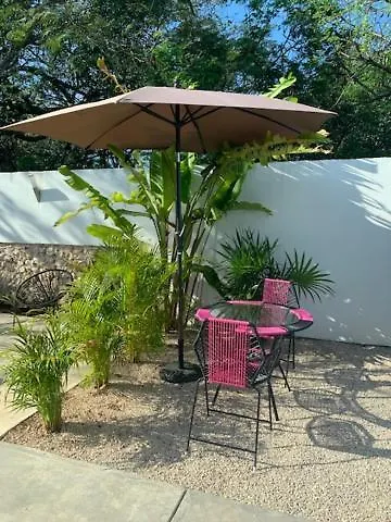 Apartment Estudio En “Casa Livia” Con Piscina Y Jardin. Merida